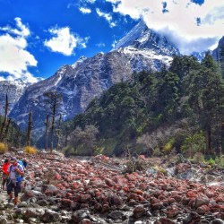 Tilche to Chymche during Manaslu Circuit Trek