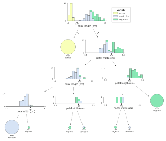 Visualizing Machine Learning Models: How to Guide and Tools