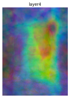 Original input image overlaid with an activation heatmap of the fourth layer in a ResNet18