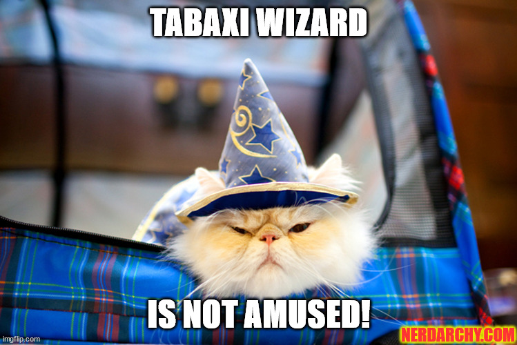 Cat in a wizard hat