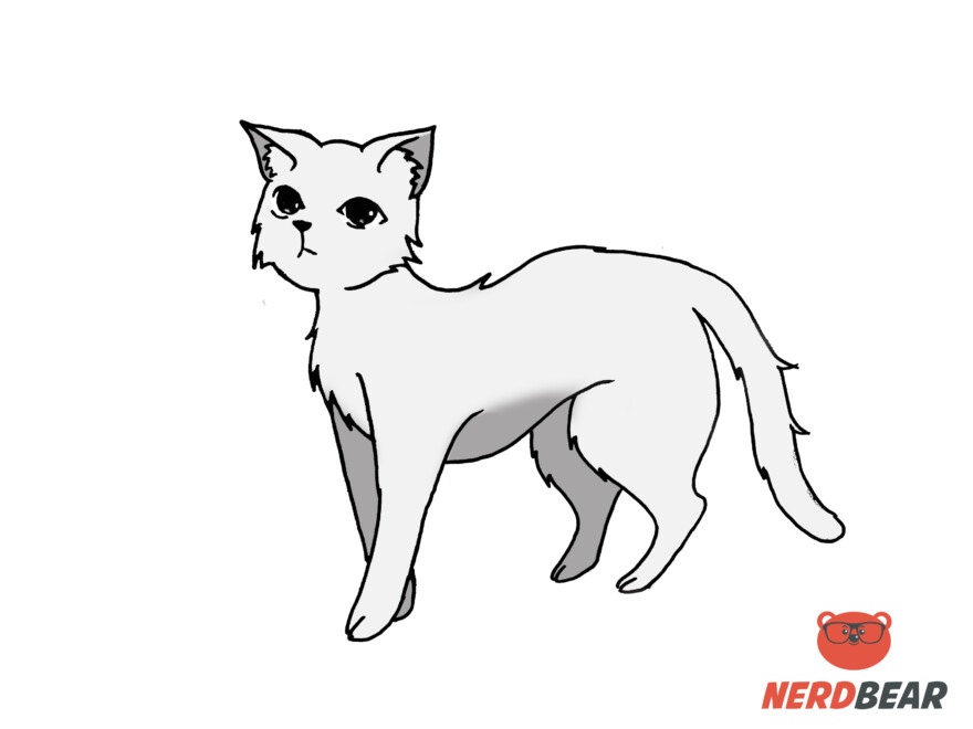 How To Draw A Standing Anime Cat 15