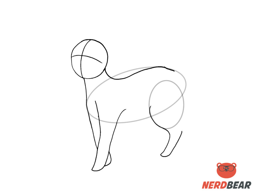 How To Draw A Standing Anime Cat 6