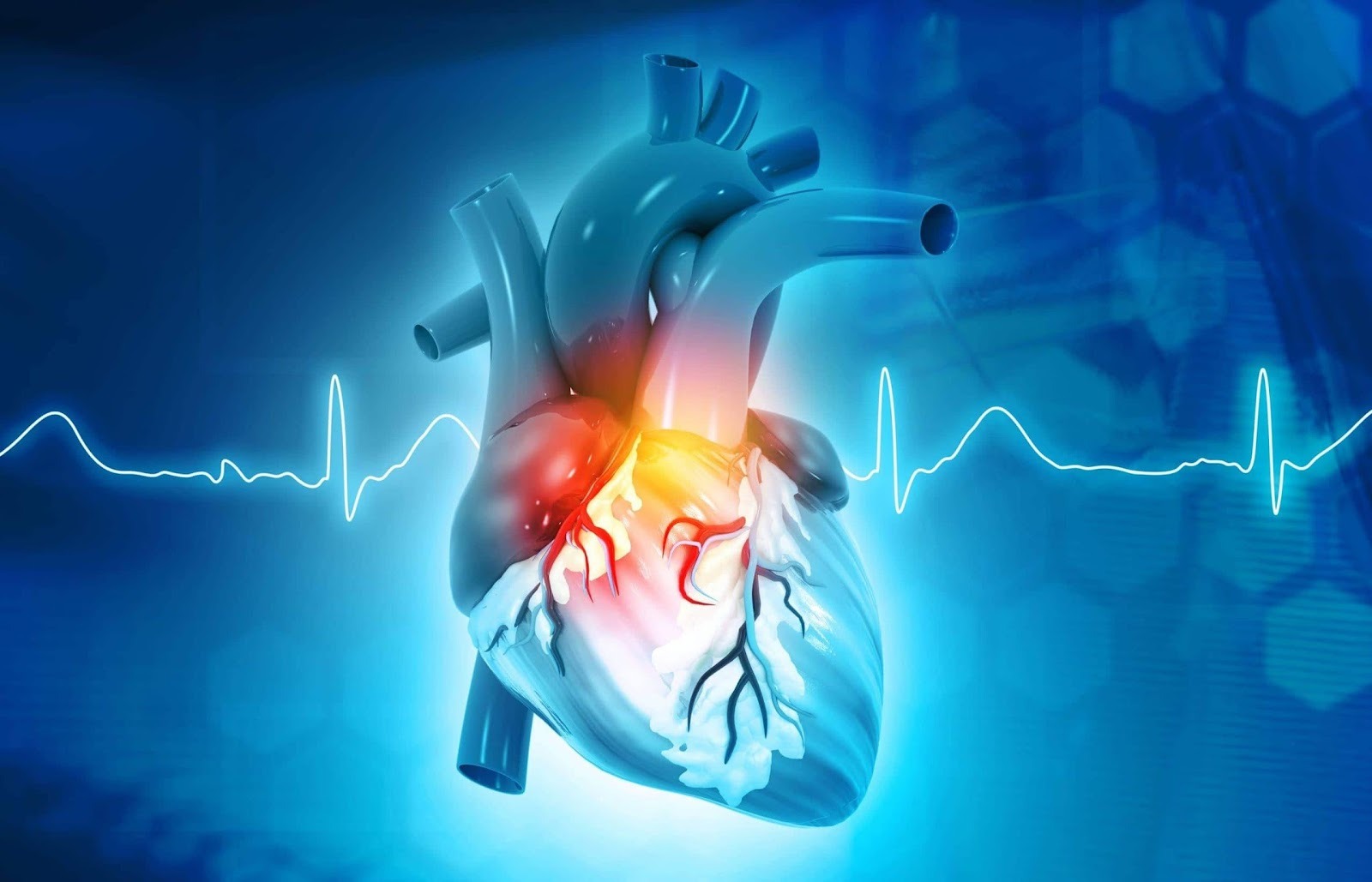 5 Best Cardiology Clinics in Dubai for Heart Care
