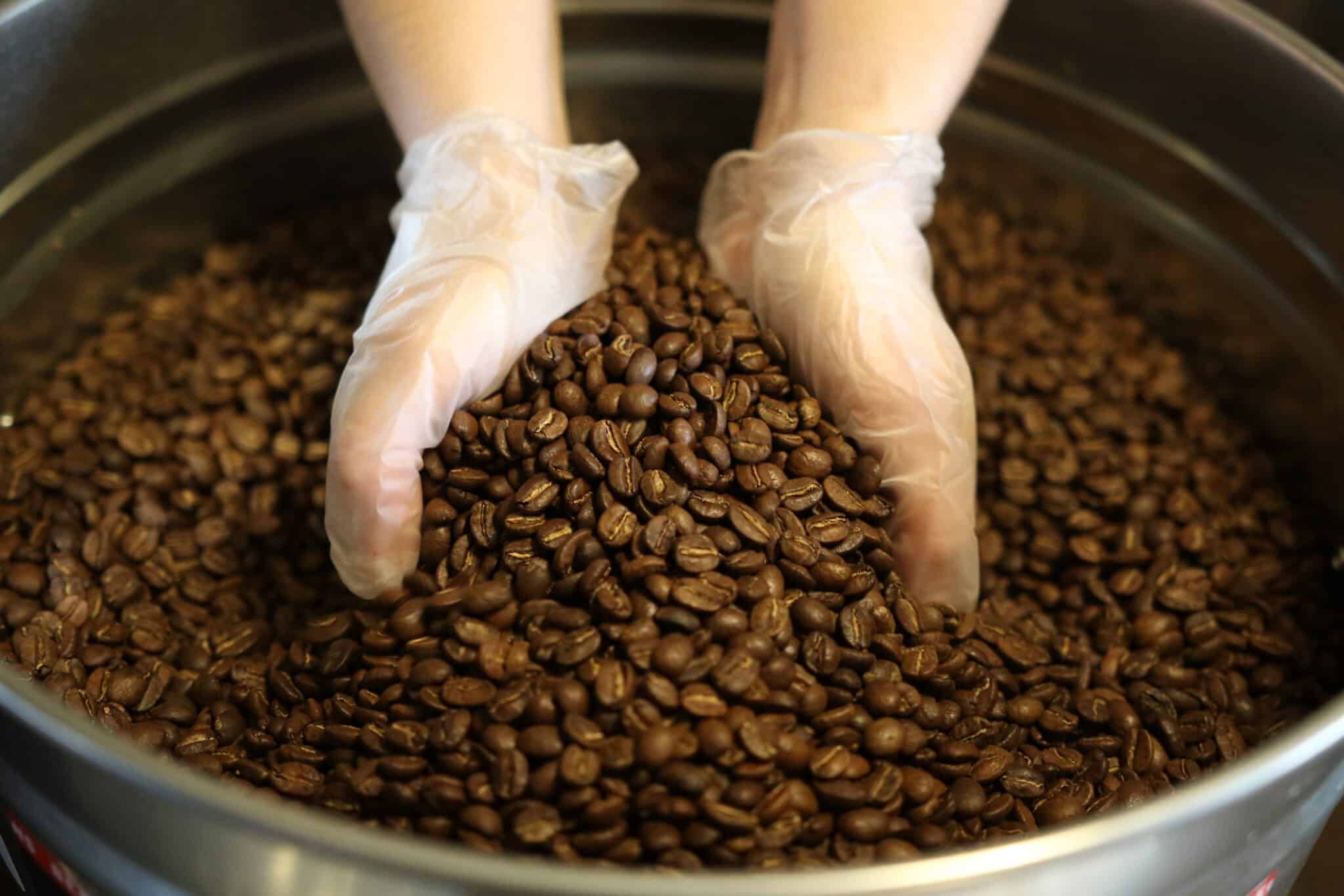 Nerd Java Colombian coffee beans in a tin can with hands