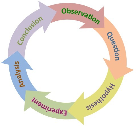 Scientific Process