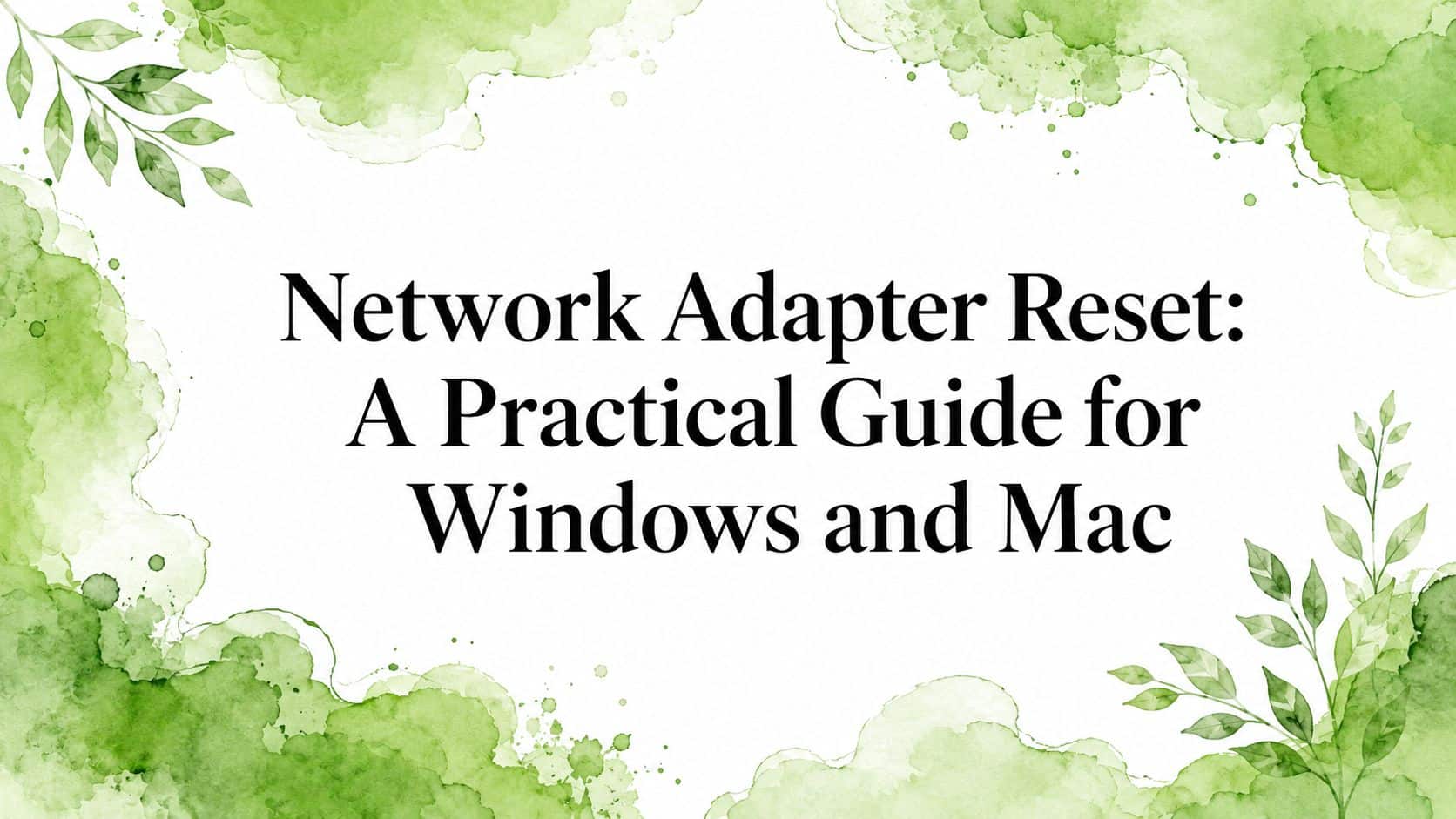 Network Adapter Reset: A Practical Guide for Windows and Mac