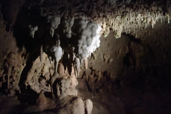 white grapes at the cave without a name
