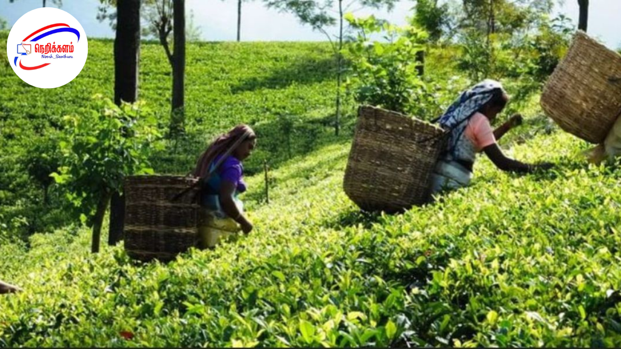 தொழிலாளர்களுக்கான குறைந்தபட்ச தினக்கூலி உயர்வு – ஜனாதிபதி அறிவிப்பு