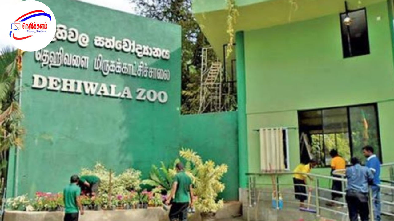 தேஹிவளை பூங்கா 32 வெளிநாட்டு பறவைகள் திருட்டு – 24 வயதான நபர் கைது