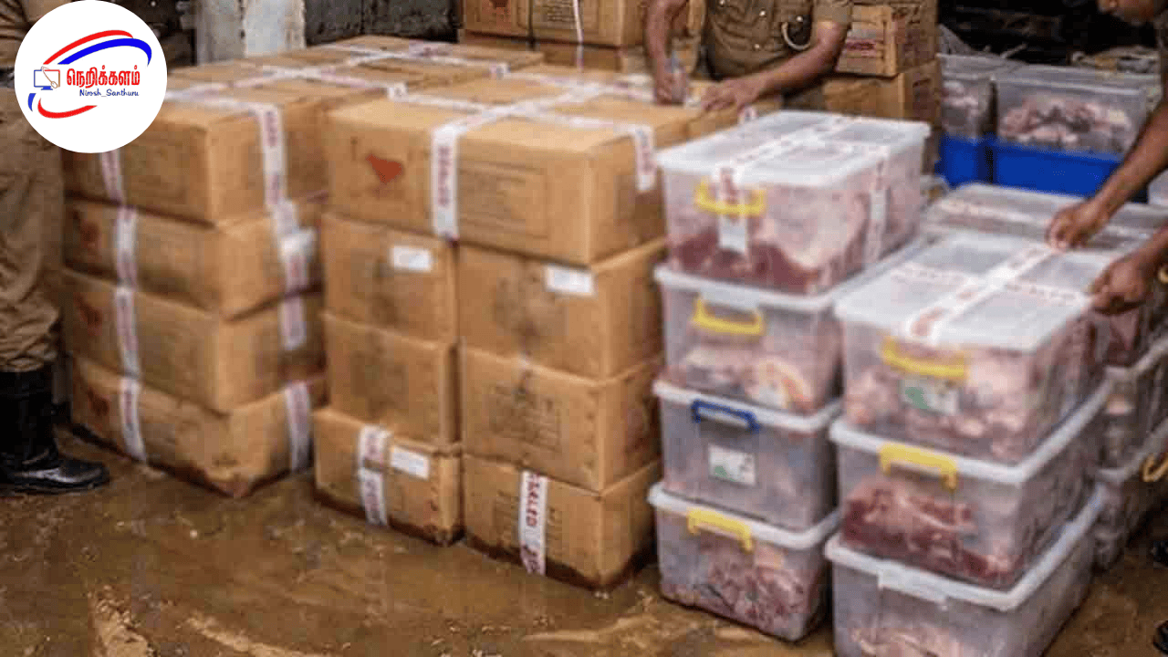 அநுராதபுரம் கால்நடை பண்ணையில் 12,000 கிலோ மனிதப் பயன்படுத்தத்தகாத இறைச்சி முத்திரை – பொது சுகாதார பரிசோதகர்கள் நடவடிக்கை
