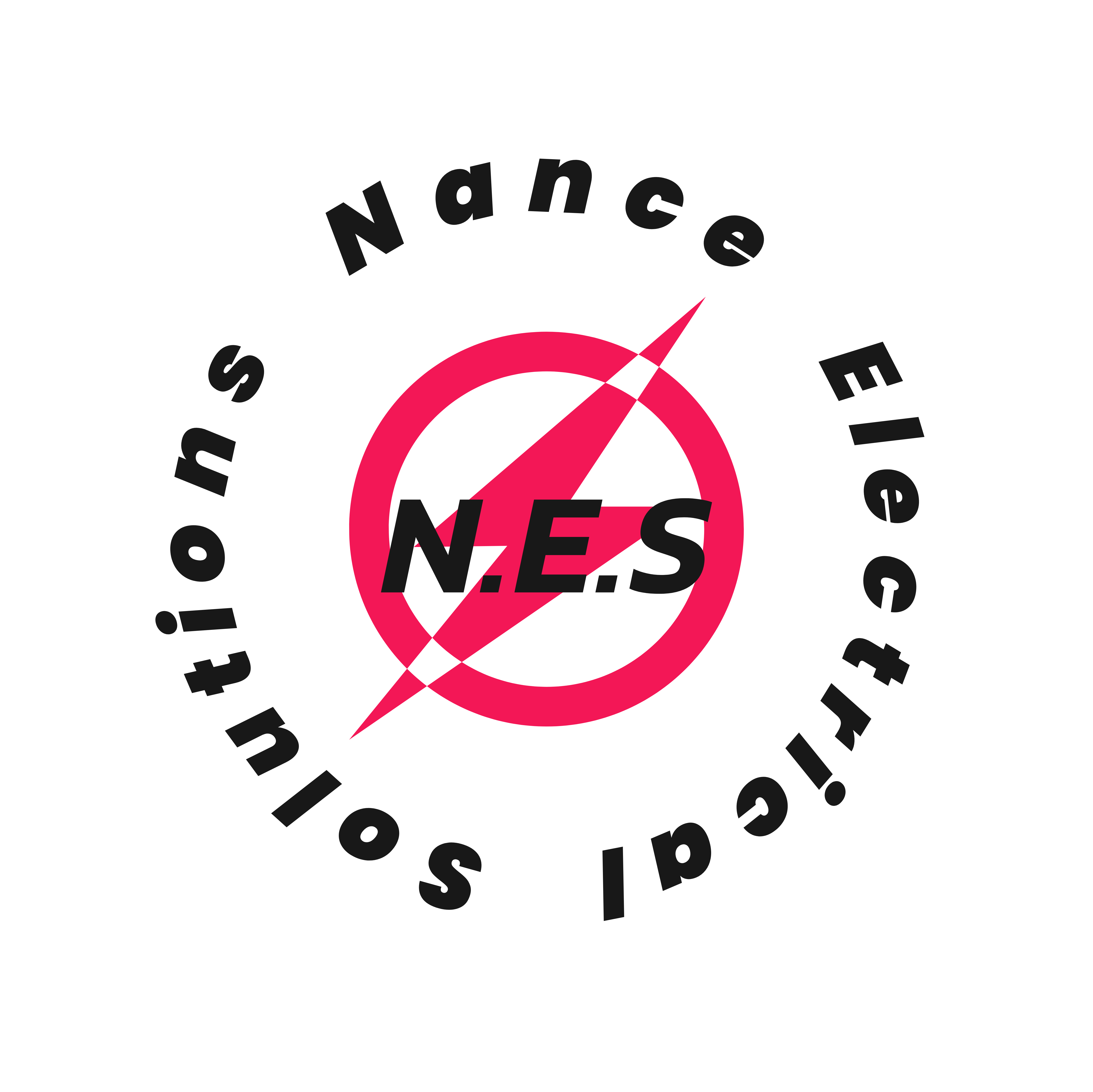 NES-NC Logo