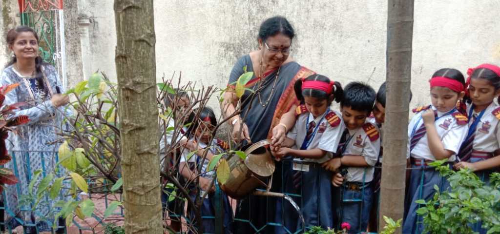 TREE PLANTATION
