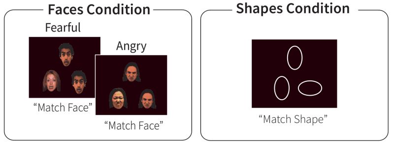 Task Performance By Condition Download Scientific Diagram - Ultra HD Geometric Image - Desktop