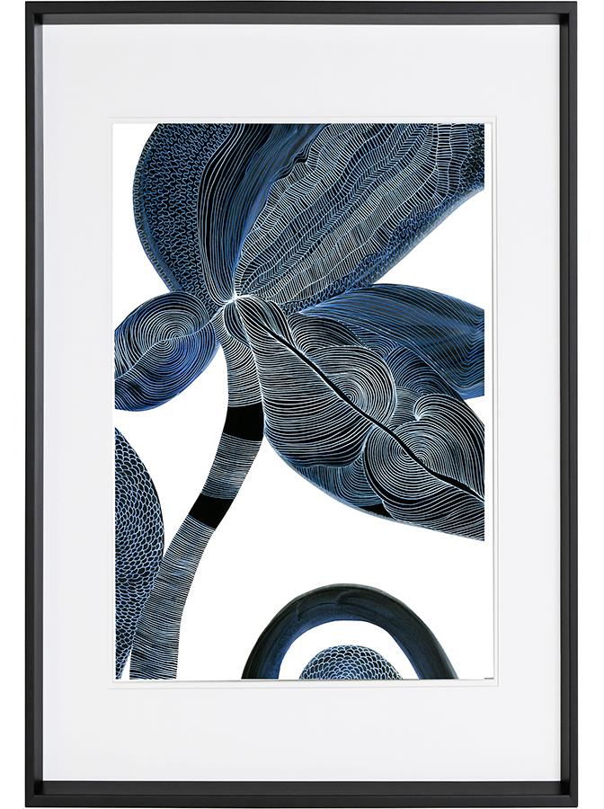 dove.0240fdd2.ART000345_L