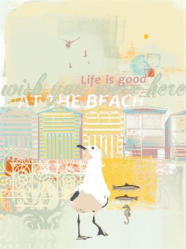 dove.c9f9a740.ART000316_L