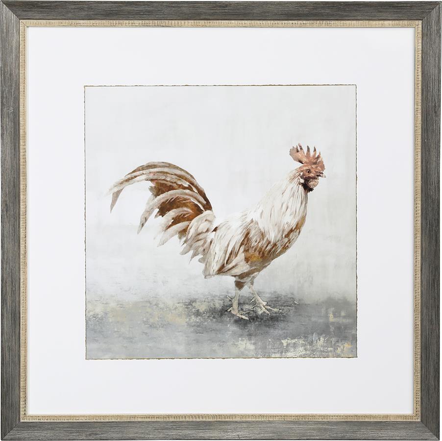 dove.16510c81.ART000298_L
