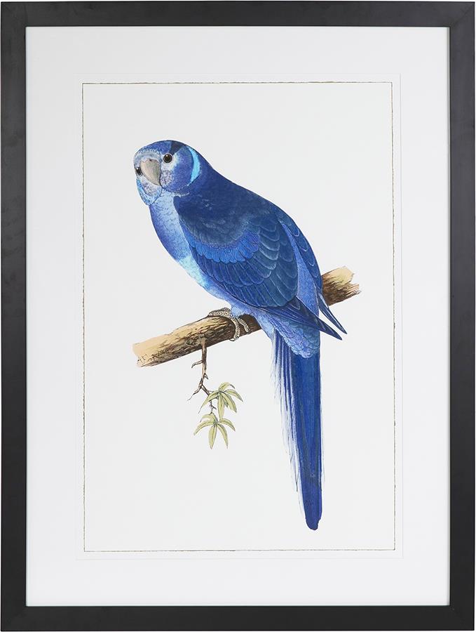 dove.970e8784.ART000216_L