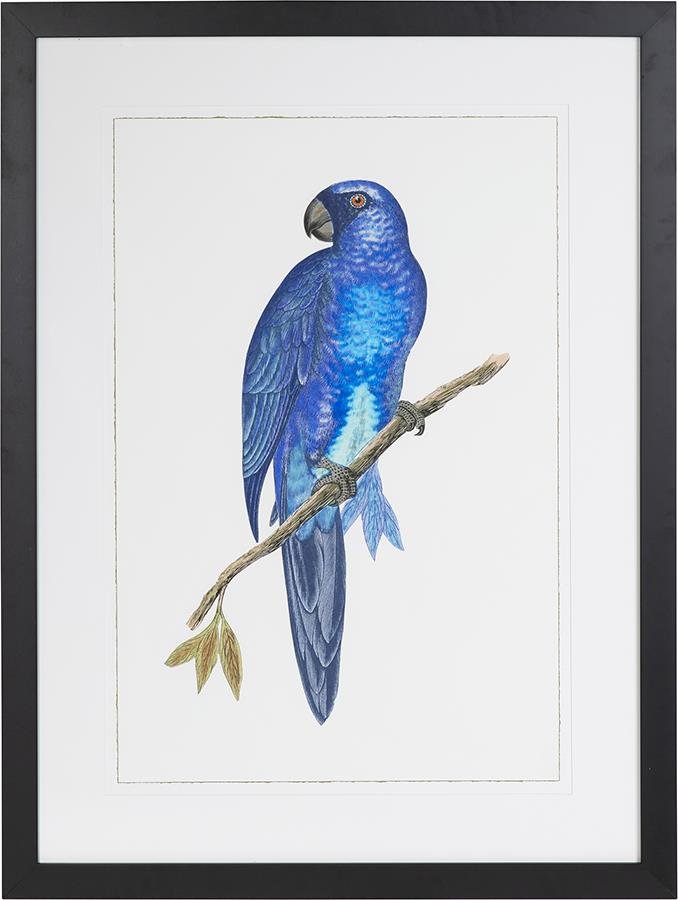 dove.0c452e7c.ART000215_L