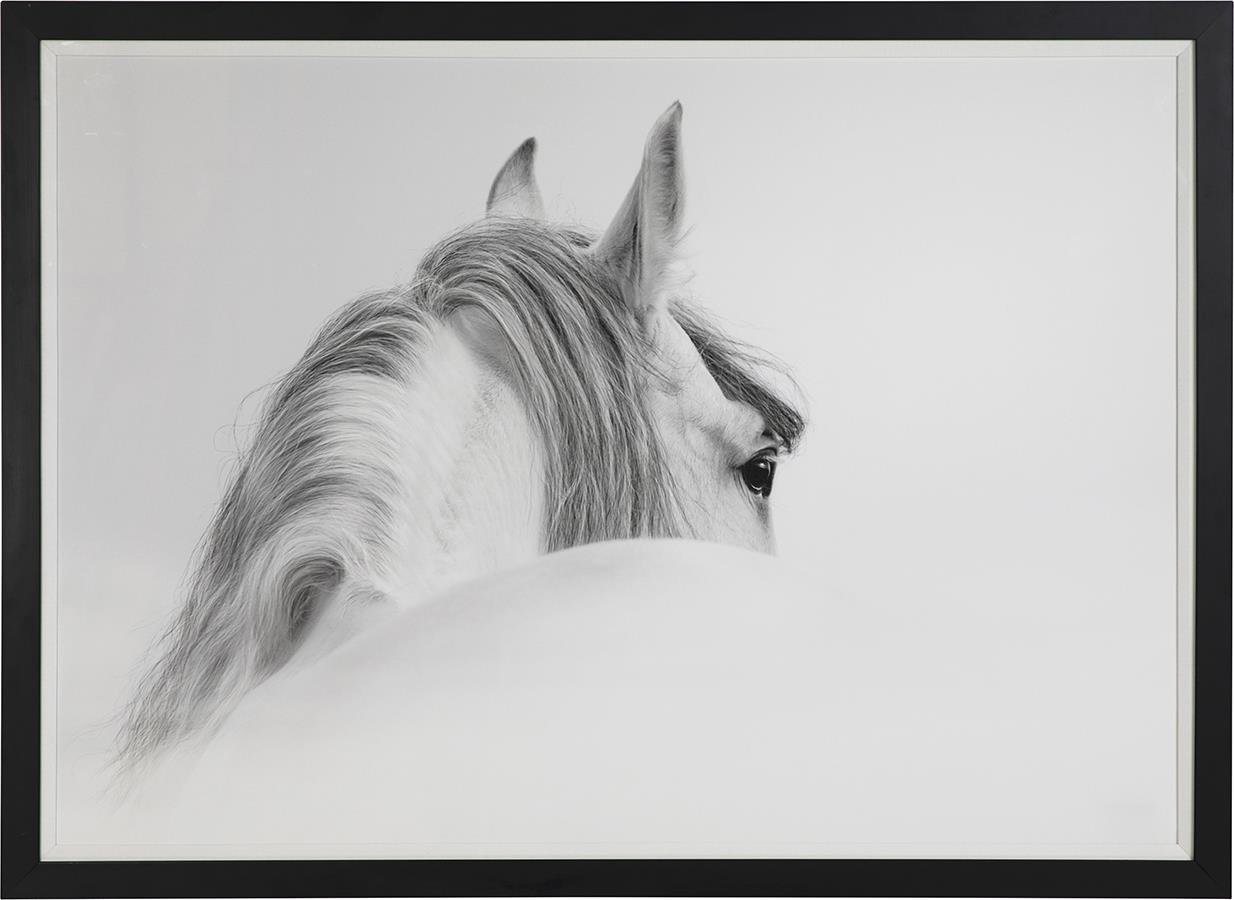 dove.0c7d34f6.ART000182_L