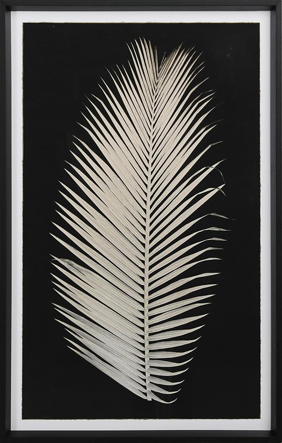 dove.e7203746.ART000181_L