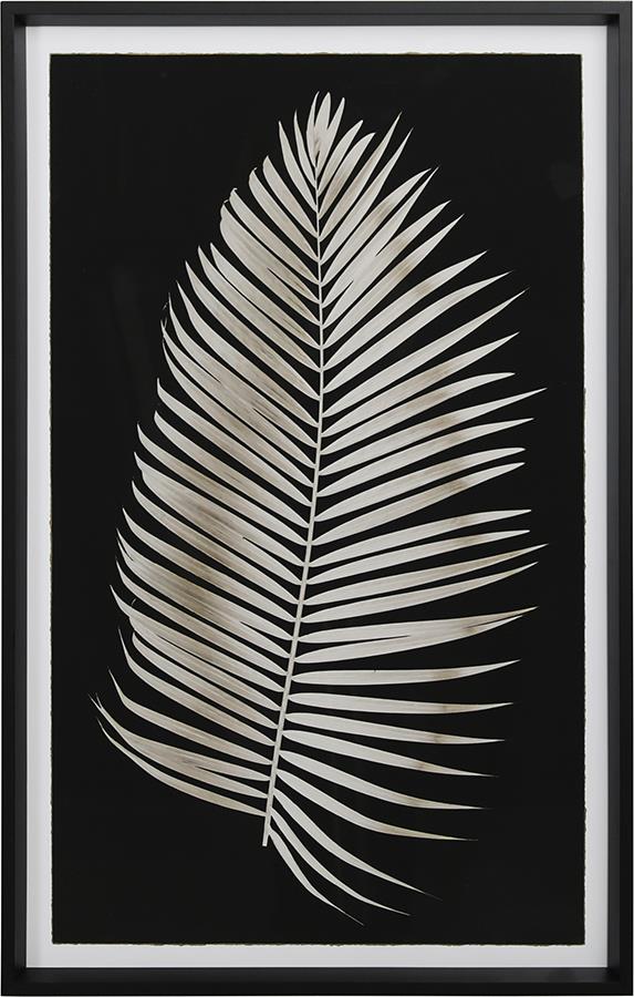dove.dae416ed.ART000180_L