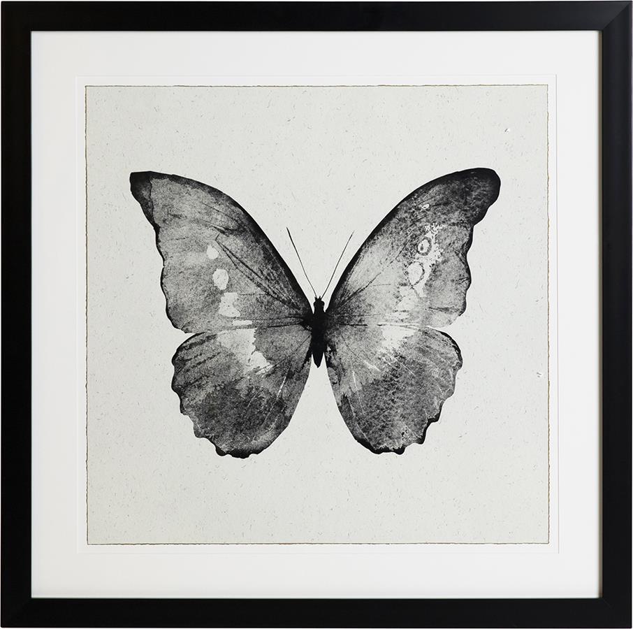 dove.e3027aa4.ART000162_L