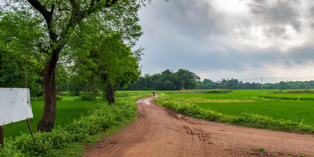 গ্রামের প্রকৃতি নিয়ে ক্যাপশন
