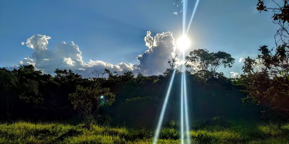 বিকেলের রোদ নিয়ে ক্যাপশন