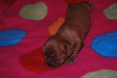 H�r �r en liten s�t kille