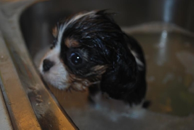 Det k�nns som om jag �r p� ett spa och badar,s�ger Glitter Girl
