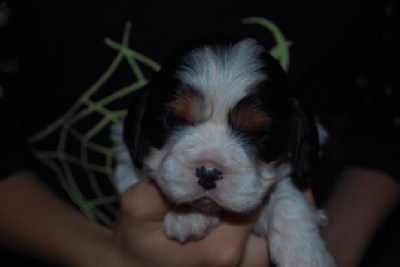 Och jag ska heta Isor.