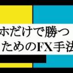 ネットビジネス 副業 FX スマホ アプリ で 稼ぐ トレード テクニック 手法 ノウハウ やり方 考え方 解説 HIROTAKA