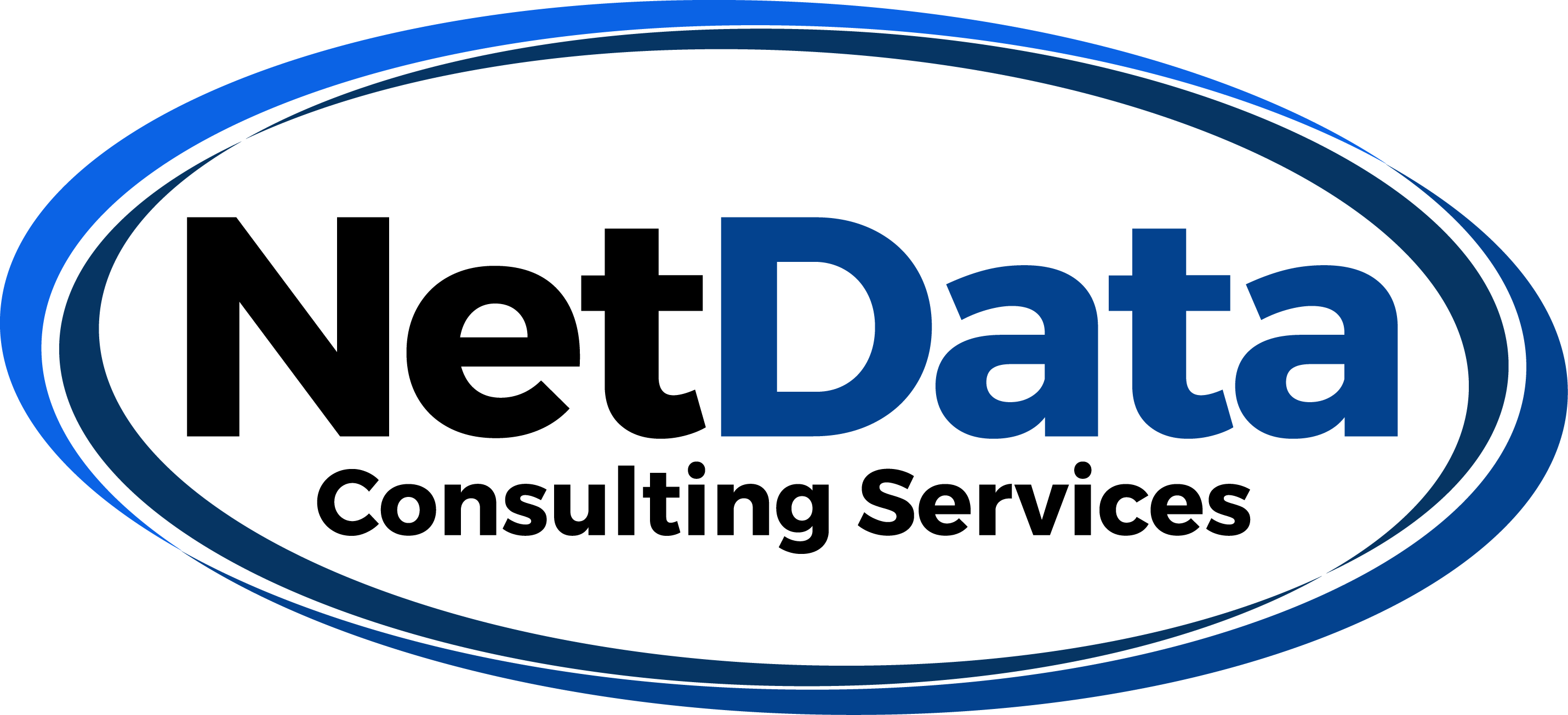 NetData Consulting Services
