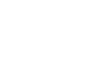 NetForge: Fractional Technology & Operations Leadership