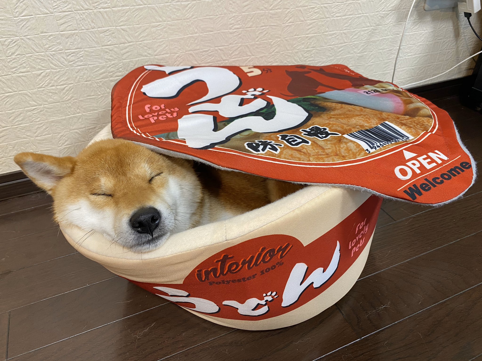 きつねうどん 犬のためのベッド買いました Netgeek