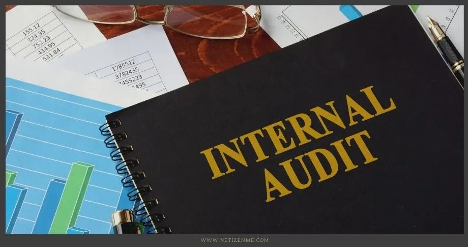 Accounting and Organizational Internal Controls Accounting and Organizational Internal Controls - Netizen Me