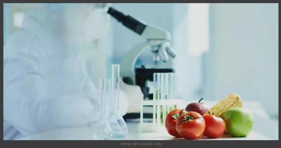 labeling of Genetically modified food products - Netizen Me