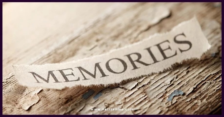 Thomas Jefferson's Thoughts On Learning What role does attention play in encoding information into memory