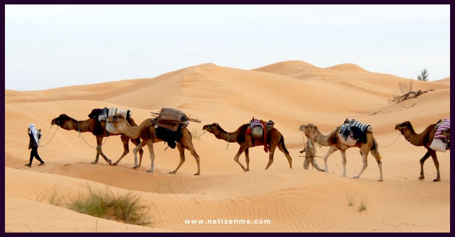 trade Sahara Desert silk road