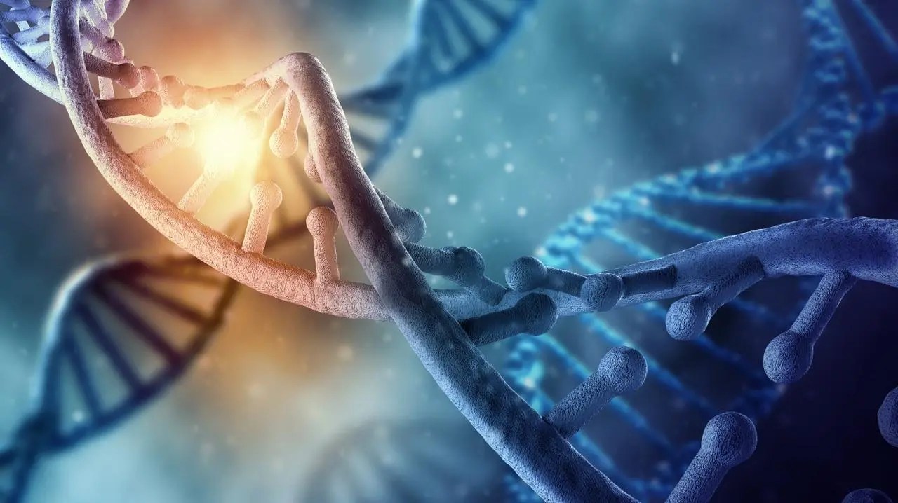 Genetyczne blizny po traumie. Jak przemoc w dzieciństwie zmienia nas na poziomie DNA