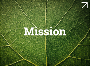 Mission Netlab - Full HD Space Pictures for Desktop