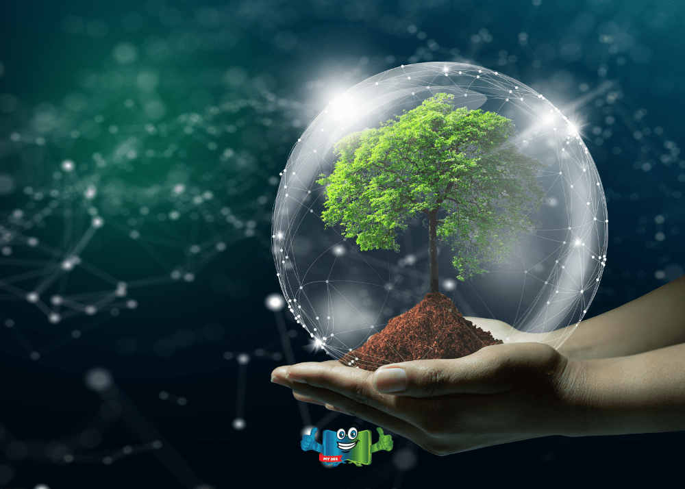 Sustainability In IT