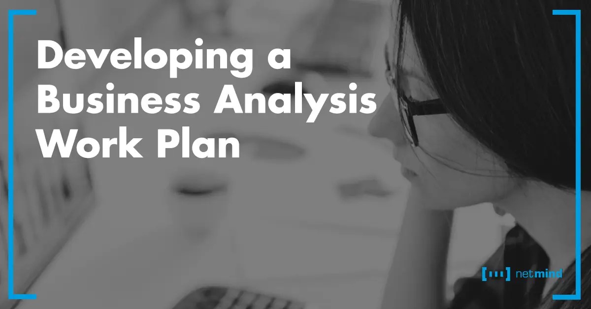 Business Analysis Work Plan Training Netmind Course