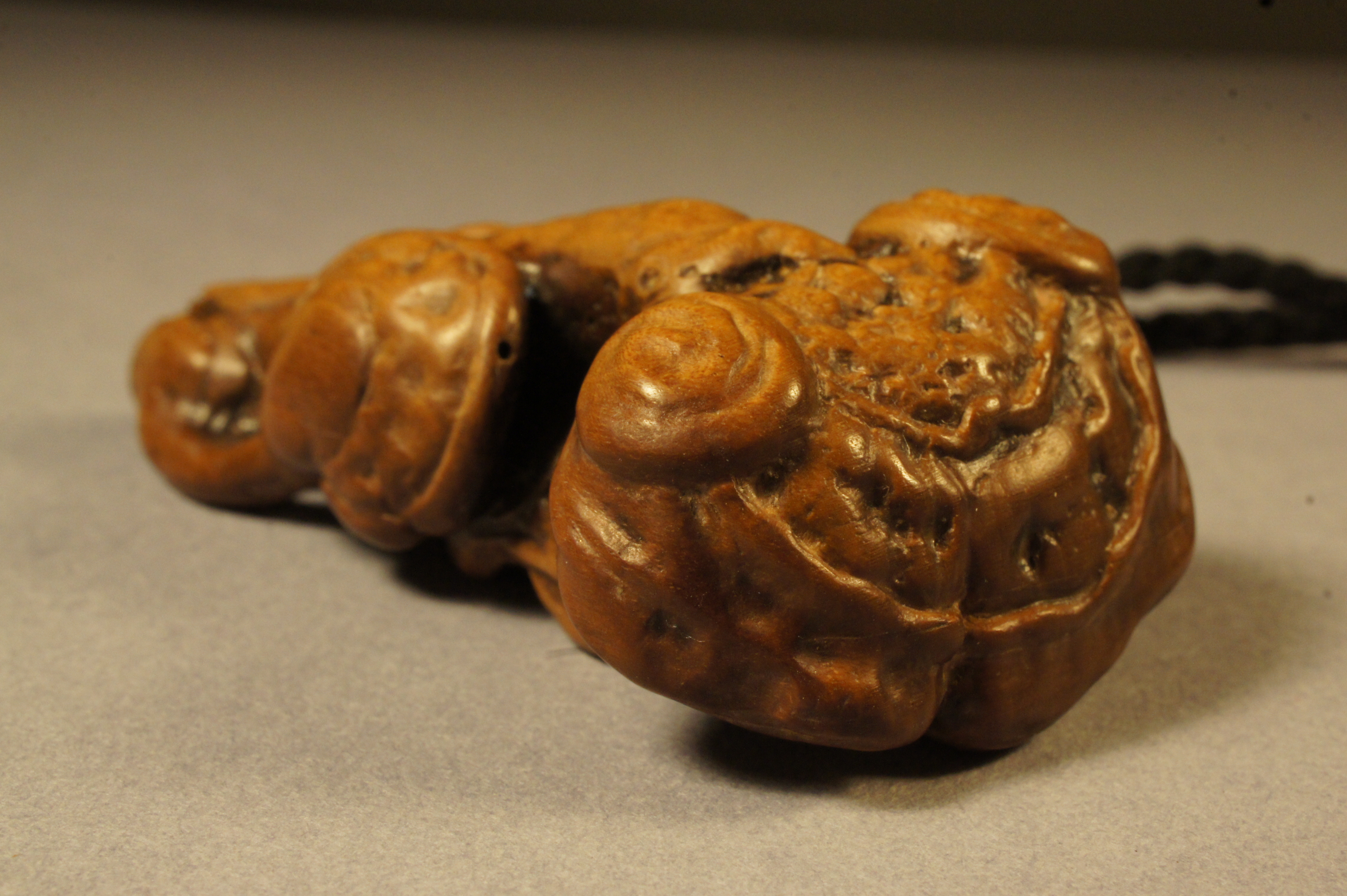 Reishi depicted in Mountain mahogany