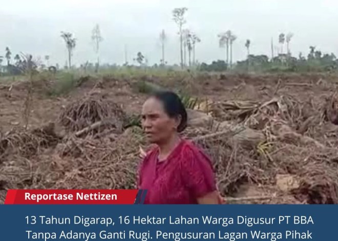 13 Tahun Digarap, 16 Hektar Lahan Warga Digusur PT BBA Tanpa Adanya Ganti Rugi Dengan Melibatkan Oknum Aparat