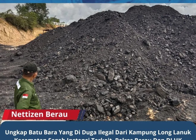 Ungkap Batu Bara Yang Di Duga Ilegal Dari Kampung Long Lanuk Kecamatan Segah Instansi Terkait, Polres Berau Dan DLHK Diharapkan Lakukan Penyelidikan Dan Investigasi Menyeluruh