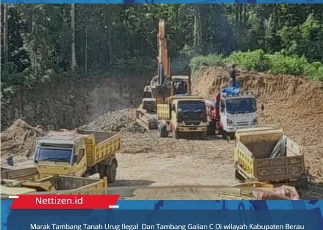 Marak Tambang Tanah Urug Ilegal Dan Tambang Galian C Di wilayah Kabupaten Berau” Mereka berharap agar ada kebijakan Pemkab bisa memberikan kontribusi Pemasukan Pemkab Berau”