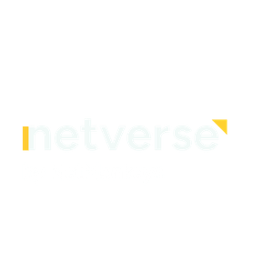 NetVerse Logo