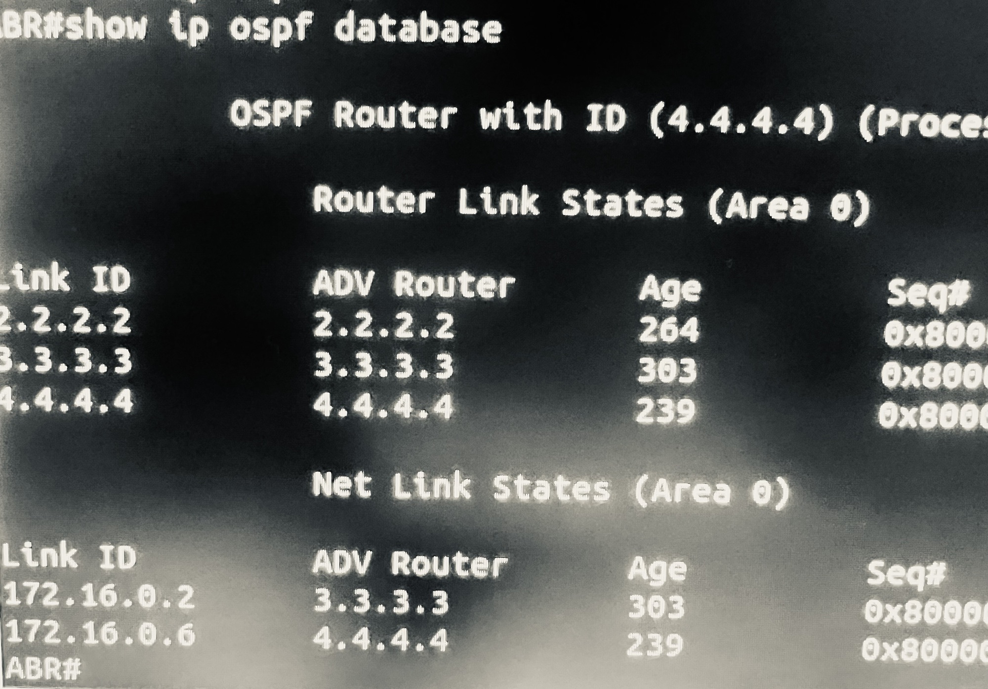 The OSPF lifecycle – Network Automator