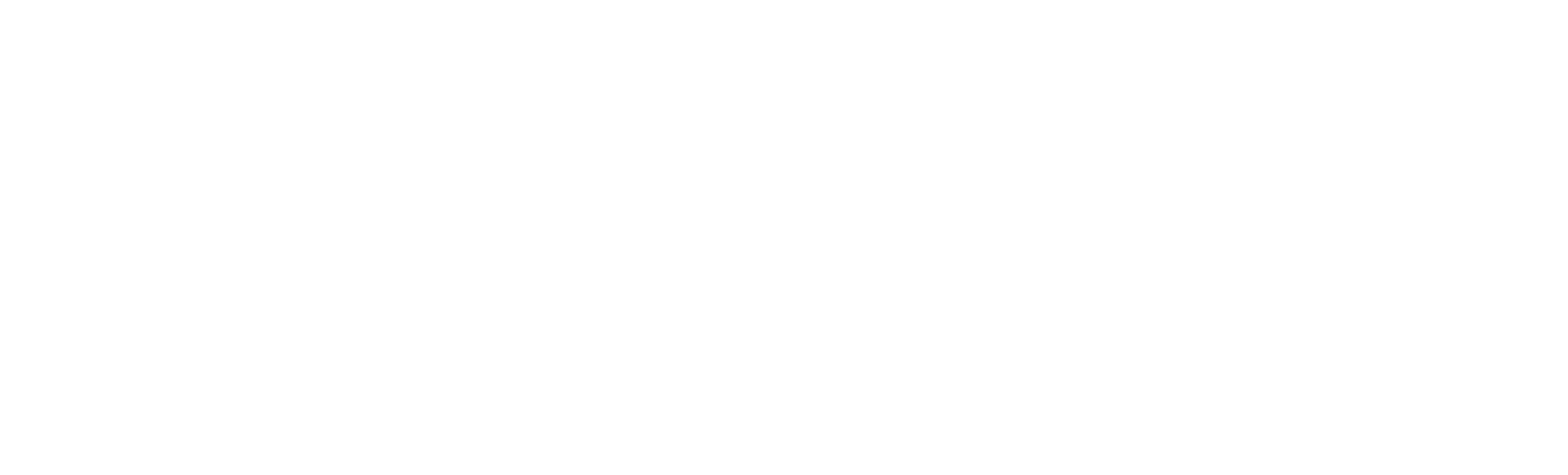 Logo NetworkBlu - blanco